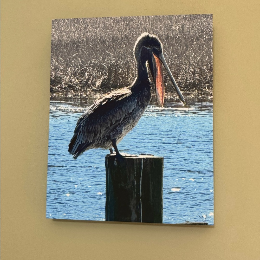 Pelican Canvas Wall Art
